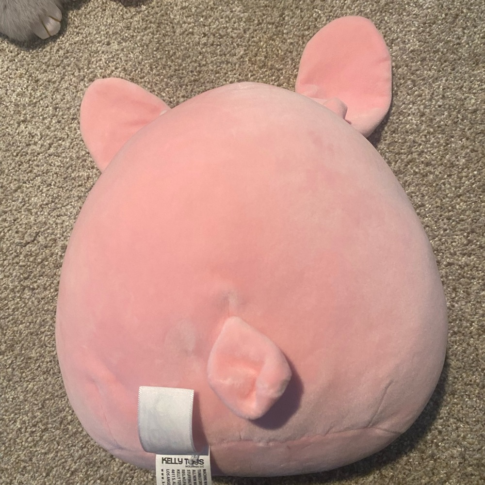 8” Bop squishmallow